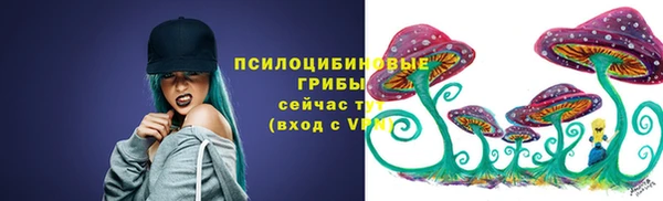 кокс Баксан