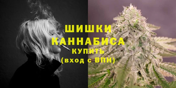 PSILOCYBIN Балахна